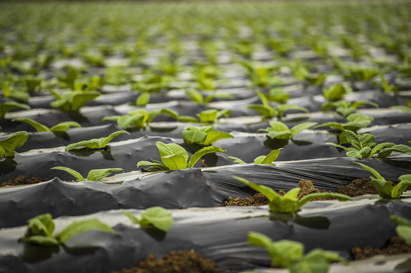 Aplicaciones agrícolas